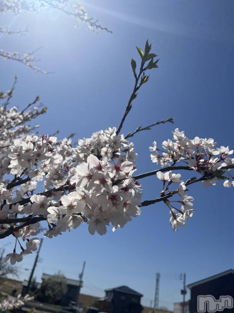 ��Į���ʥå��������륺�С�L'asile(�饸����) �ߤ���4��11���̥�֥����֤���Ф�ϡ���