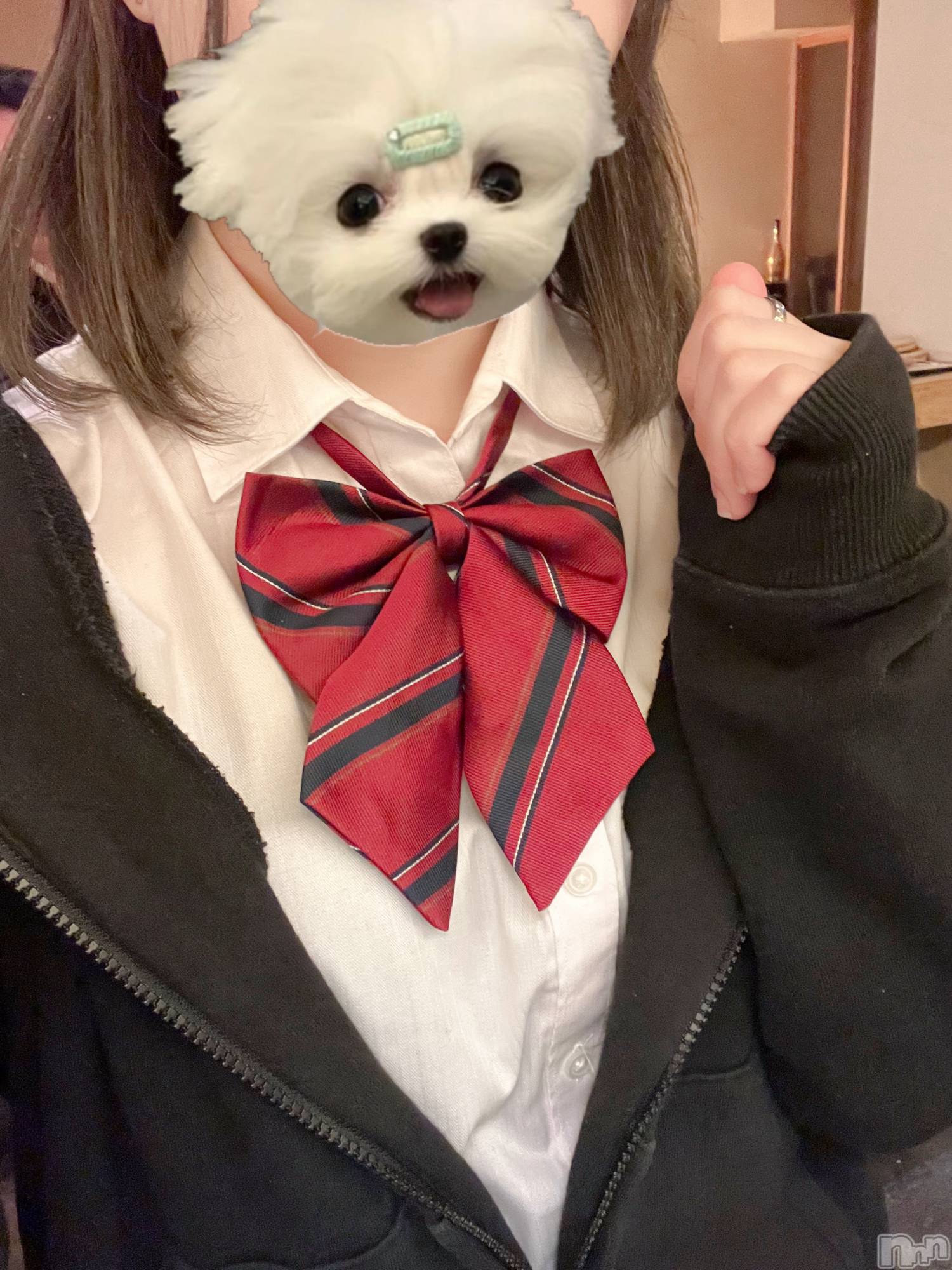 Įʥå륺СL'asile(饸) 2025ǯ37̥֥٤衪