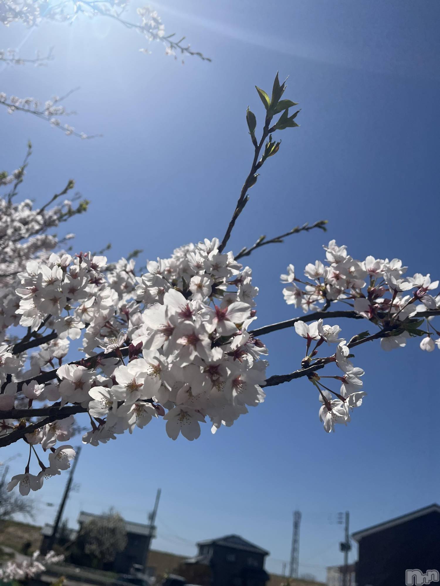 ��Į���ʥå��������륺�С�L'asile(�饸����) ��2026ǯ4��11���̥�֥����֤���Ф�ϡ���