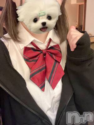 Įʥå륺СL'asile(饸) ߤ37̥֥٤衪