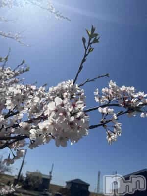 ��Į���ʥå��������륺�С�L'asile(�饸����) �ߤ�(23)��4��11���̥�֥����֤���Ф�ϡ���