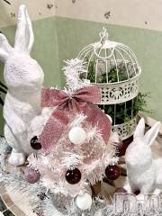 長岡デリヘルMimi(ミミ) かれん(20)の12月1日写メブログ「ツリーに何飾りたい？」