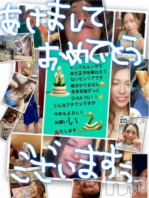 ƲХ顦ֲ֥ڲСݣȣΣ£ɡ(֥ϥʥ) ꤢ13̥֥֤ޤƤǤȤ¤ޤ