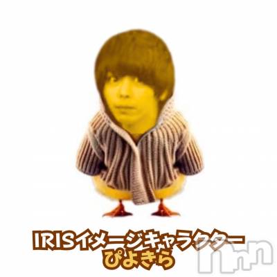 ô֤Ԥ褭(ҥߥ) ĹҥߥġƲۥȡܡС IRIS(ꥹ)ҡ