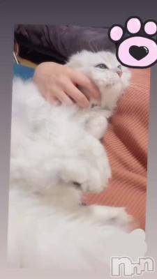 ~🔆‬ (⌓꒷꒦
