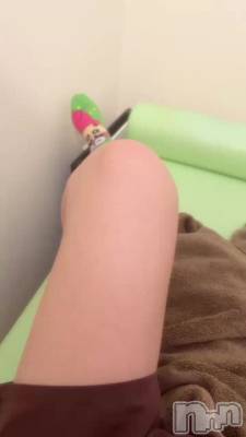 🦖⸒⸒