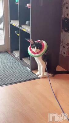🍉