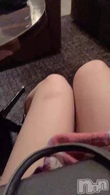 515 2234ʬư