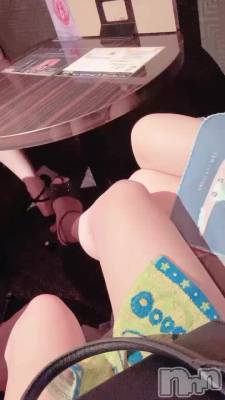 65 2016ʬư
