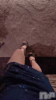 817 2041ʬư