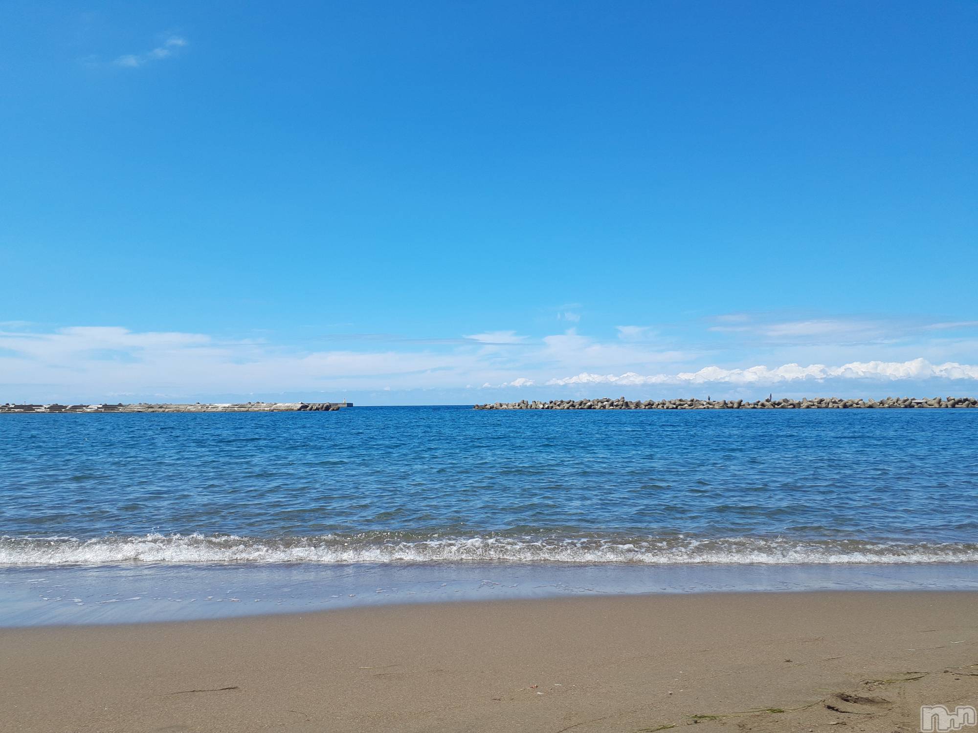 Х顦ֽϽХ Lips(奯祭Хåץ) 2023ǯ99ֵ̥֥סƤߤޤ🏖️✨