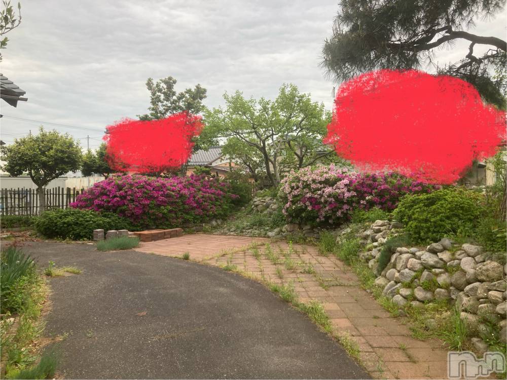 Х顦ֽϽХ Lips(奯祭Хåץ) ʤ517̥֥֤͡✨