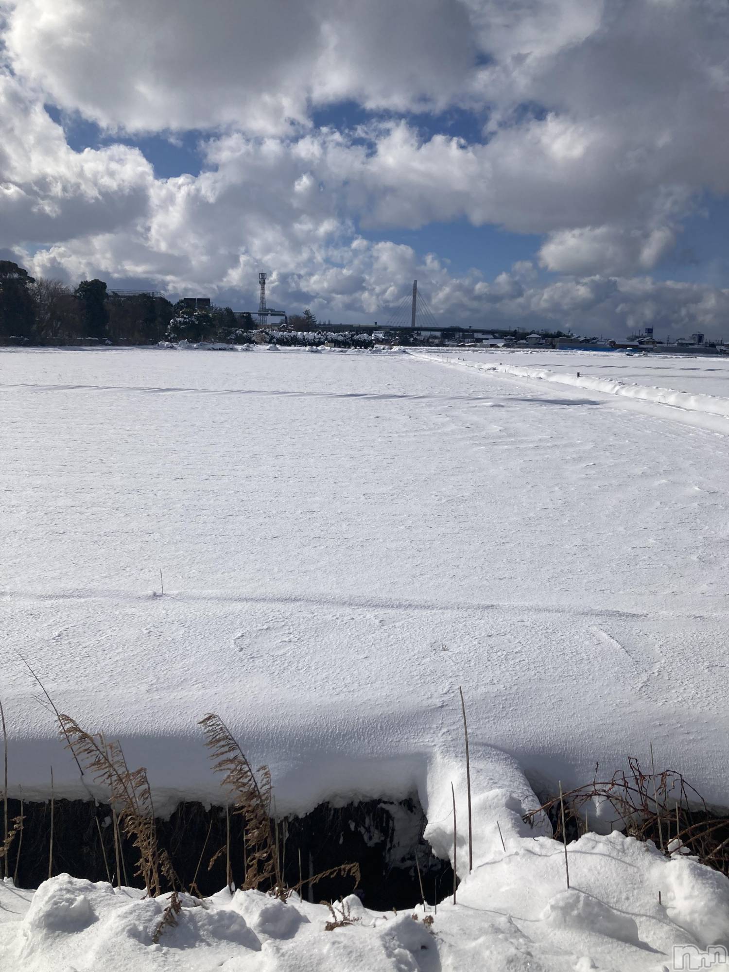 �����������Х��顦����ֽϽ�����Х��� Lips(���奯���祭��Х����åץ�) ��2026ǯ1��30���̥�֥������ɤ�ŷ���ʤΤˡ�☃️💦��