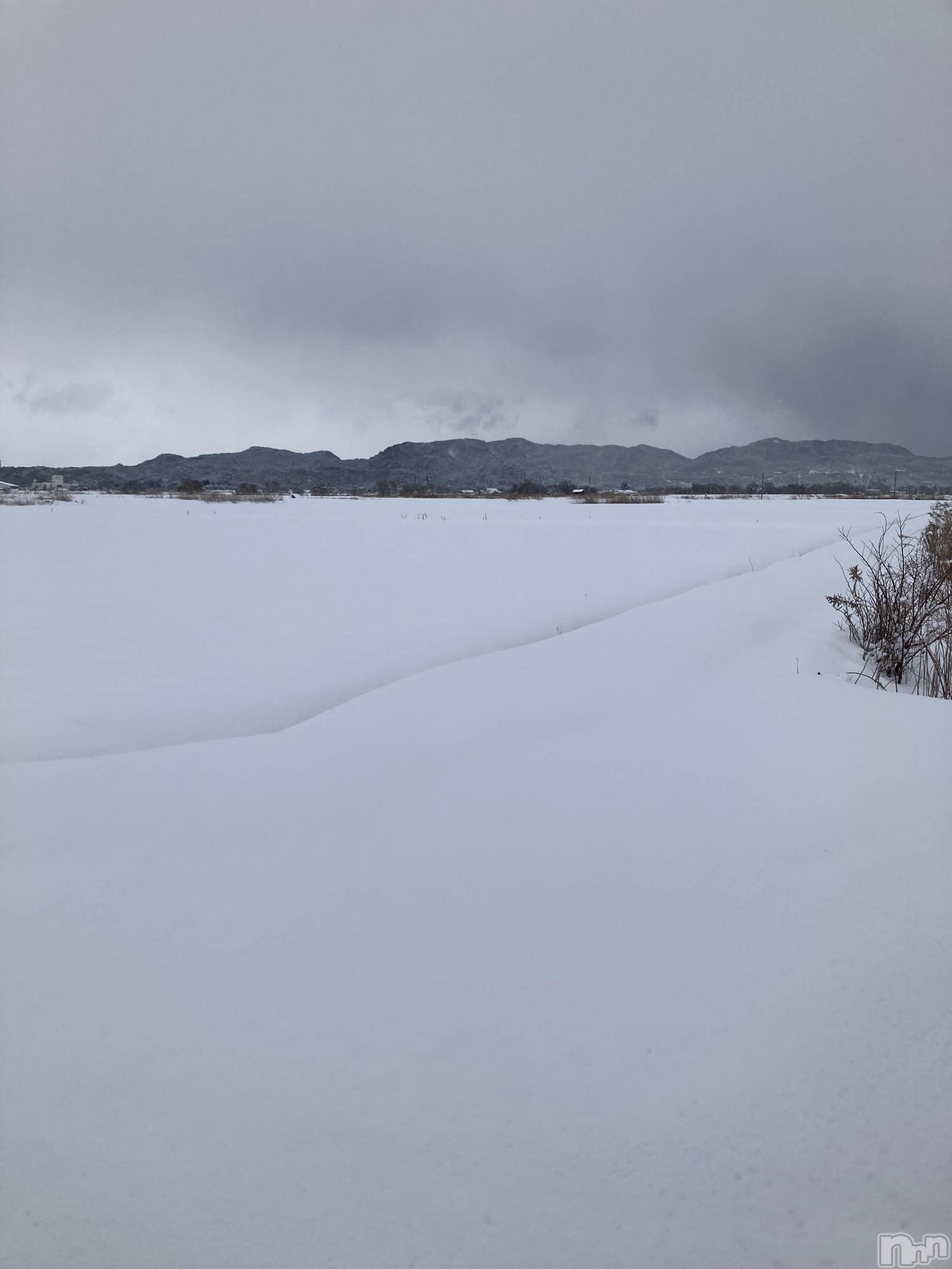 �����������Х��顦����ֽϽ�����Х��� Lips(���奯���祭��Х����åץ�) ��2026ǯ2��12���̥�֥����֤Ĥ����δ֤ޤǡġ�