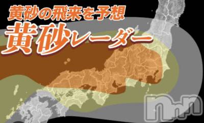 Х顦ֽϽХ Lips(奯祭Хåץ) ʤ422ֲ̥֥