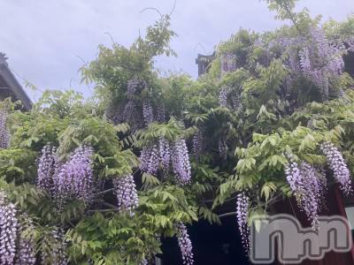 Х顦ֽϽХ Lips(奯祭Хåץ) ʤ513̥֥ƣβ֡