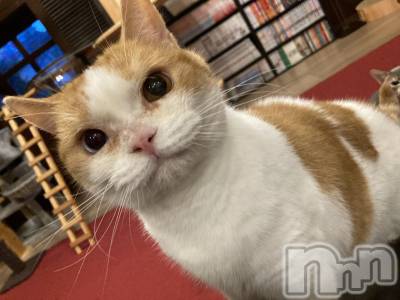 �����������Х��顦����ֽϽ�����Х��� Lips(���奯���祭��Х����åץ�) ��ʤ�11��30���̥�֥����ֺ������ܤο���✨��