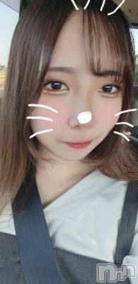 ĮХ顦Lounge R Style(饦󥸥륹) (20)113̥֥113 1518ʬΥ֥