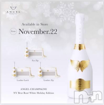 ĮХ顦CLUB MIMOSA(֥ߥ⥶) 117̥֥֡ġġ