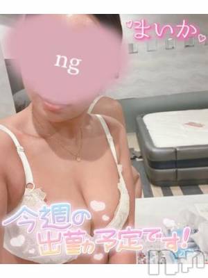 新潟風俗エステ La Muse(ラミューズ) まいか(24)の12月19日写メブログ「口出し~」