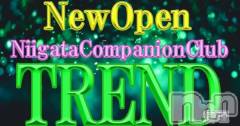 ȯѥ˥󥯥(ѥ˥ȥ)ΤŹ®ֿѥ˥TRENDǤ仿ͽ󾵤