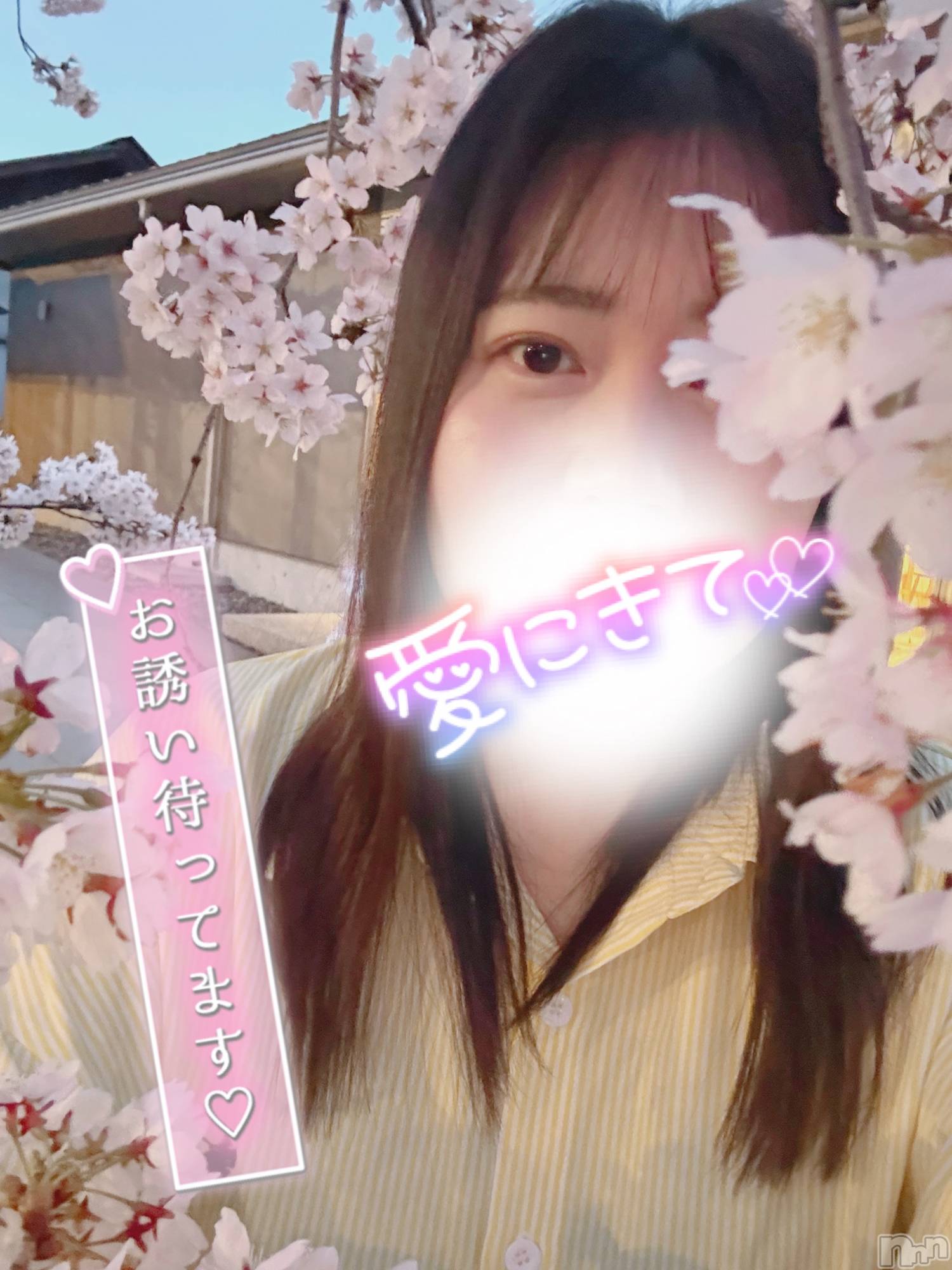 上越デリヘル上越最安値！奥様Deli急便(ジョウエツサイヤスネ！オクサマデリキュウビン)激レア単発「出勤　しゅり(26)の2026年4月11日写メブログ「12:30～♪」