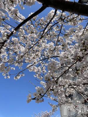 上越デリヘル 上越最安値！奥様Deli急便(ジョウエツサイヤスネ！オクサマデリキュウビン) 激レア単発「出勤　しゅり(26)の4月12日写メブログ「今日は」