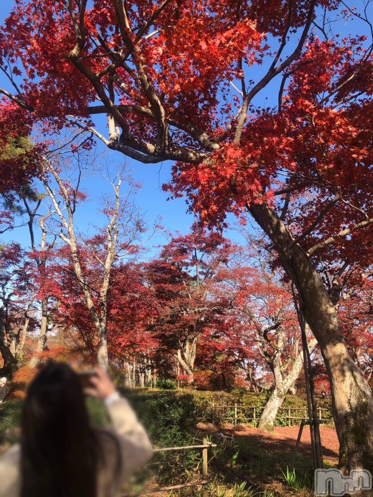 三条デリヘル人妻じゅんちゃん-出稼ぎ0！地元の奥様専門-(ヒトヅマジュンチャン) 木村あんな☆スレンダー美人(34)の11月18日写メブログ「今日から復活🫶」