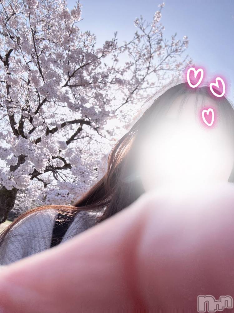 三条デリヘル人妻じゅんちゃん-出稼ぎ0！地元の奥様専門-(ヒトヅマジュンチャン) 木村あんな☆スレンダー美人(34)の4月12日写メブログ「お花見」