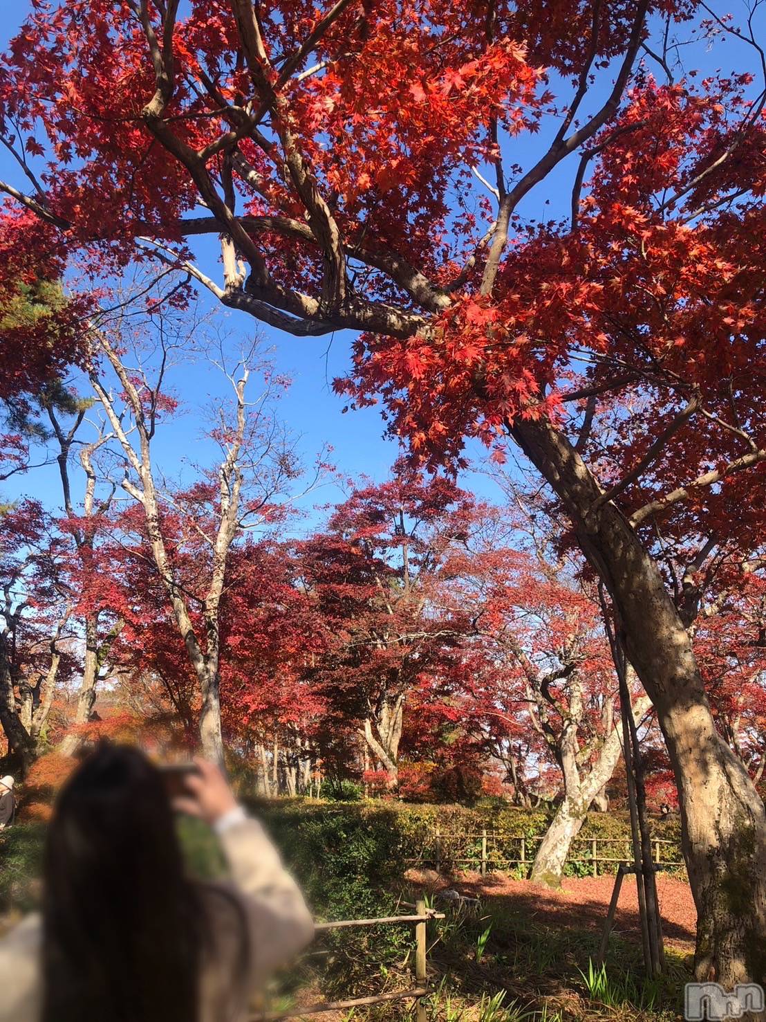 三条デリヘル人妻じゅんちゃん-出稼ぎ0！地元の奥様専門-(ヒトヅマジュンチャン)木村あんな☆スレンダー美人(34)の2025年11月18日写メブログ「今日から復活🫶」