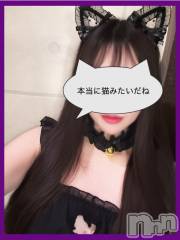 三条デリヘル人妻じゅんちゃん-出稼ぎ0！地元の奥様専門-(ヒトヅマジュンチャン) 木村あんな☆スレンダー美人(34)の11月6日写メブログ「またまた迷子🐱」