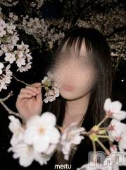 三条デリヘル人妻じゅんちゃん-出稼ぎ0！地元の奥様専門-(ヒトヅマジュンチャン) 木村あんな☆スレンダー美人(34)の4月11日写メブログ「20日でパイ」