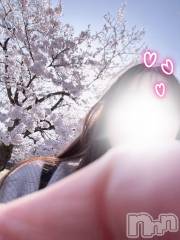 三条デリヘル人妻じゅんちゃん-出稼ぎ0！地元の奥様専門-(ヒトヅマジュンチャン) 木村あんな☆スレンダー美人(34)の4月12日写メブログ「お花見」