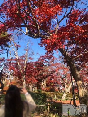 三条デリヘル 人妻じゅんちゃん-出稼ぎ0！地元の奥様専門-(ヒトヅマジュンチャン) 木村あんな☆スレンダー美人(34)の11月18日写メブログ「今日から復活🫶」