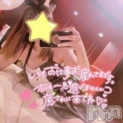 新潟ソープ新潟バニーコレクション(ニイガタバニーコレクション) アイリ(23)の10月26日写メブログ「夜の部🌃🌙*ﾟ」