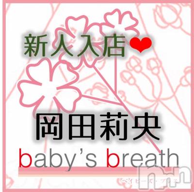 󥺥baby's breath(٥ӡ ֥쥹) 轱725̥֥֤ꤤޤ