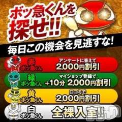 新潟デリヘル奥様特急 新潟店(オクサマトッキュウニイガタテン) なぐも(29)の2月12日写メブログ「現れた❣️」