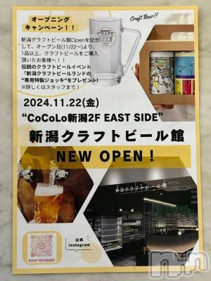 新潟デリヘル 奥様特急 新潟店(オクサマトッキュウニイガタテン) なぐも(29)の11月23日写メブログ「行きたい‼️行きたい‼️」