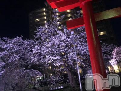 新潟デリヘル 奥様特急 新潟店(オクサマトッキュウニイガタテン) なぐも(29)の4月12日写メブログ「綺麗🌸」