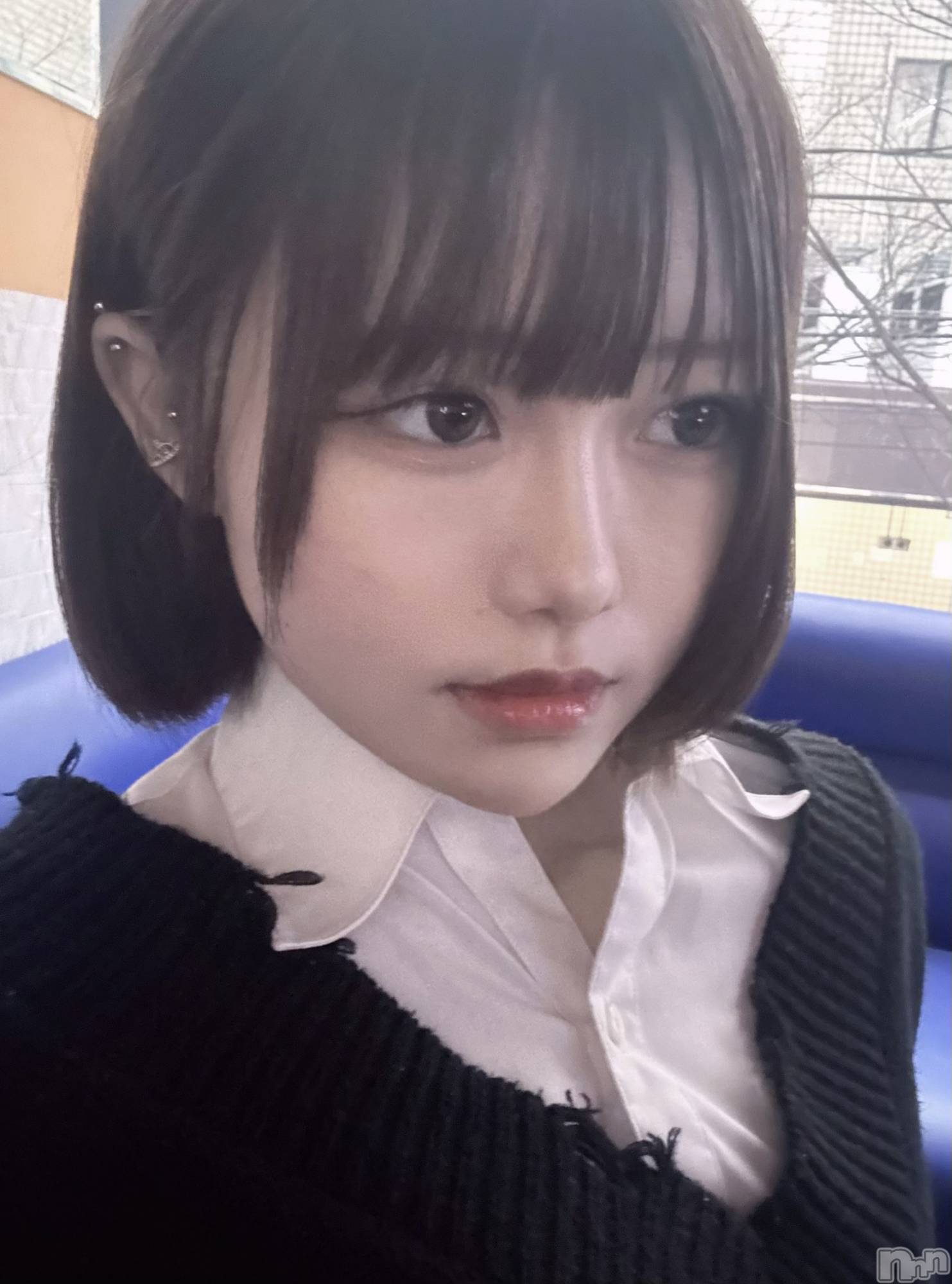 Х顦Souffle NIIGATA(ե˥) 2025ǯ219̥֥֥硼ȡ