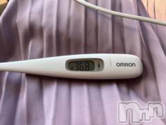 上越人妻デリヘル上越最安値！奥様Deli急便(ジョウエツサイヤスネ！オクサマデリキュウビン) 激レア単発出勤　ゆりか(28)の8月14日写メブログ「本日の体温🦊」