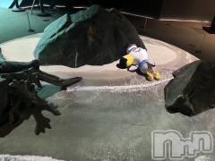 上越デリヘル上越最安値！奥様Deli急便(ジョウエツサイヤスネ！オクサマデリキュウビン) 激レア単発出勤　ゆりか(28)の10月15日写メブログ「あつもり🌳」