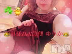 上越デリヘル上越最安値！奥様Deli急便(ジョウエツサイヤスネ！オクサマデリキュウビン) 激レア単発出勤　ゆりか(28)の3月11日写メブログ「今日もありがとう🐜」
