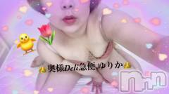 上越デリヘル上越最安値！奥様Deli急便(ジョウエツサイヤスネ！オクサマデリキュウビン) 激レア単発出勤　ゆりか(28)の4月1日写メブログ「おはよう🐈」
