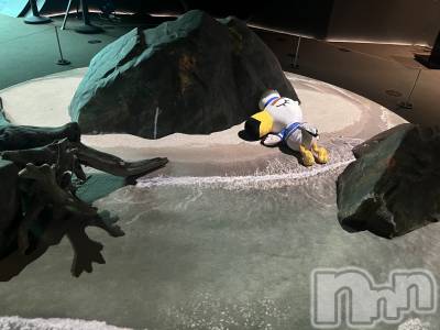 上越デリヘル 上越最安値！奥様Deli急便(ジョウエツサイヤスネ！オクサマデリキュウビン) 激レア単発出勤　ゆりか(28)の10月15日写メブログ「あつもり🌳」