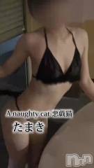 新潟デリヘルナイトナビサポートセンター お尻フェチ(25)の8月23日動画「美くびれに目を引く細身でエッチな女の子💞」