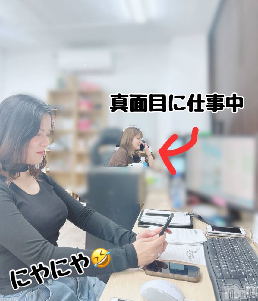 ȯѥ˥󥯥֥ϥ饹ѡץ쥸(ϥ饹ѥץ쥸) ʤ531̥֥֤Ż👏
