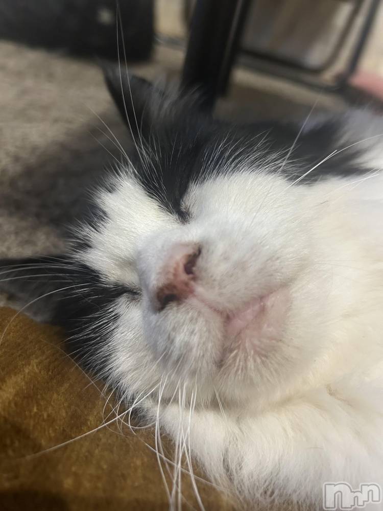 åȥСȥ졡襤襤(ȥҥС磻磻) 椦ޥޤ102ֹ̥֥ʿ😴