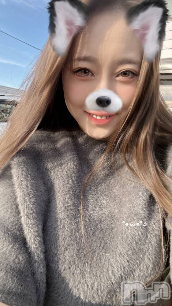 ȯѥ˥󥯥֥ޥॳѥ˥椦 Ź(ޥॳѥ˥楦˥ƥ) 椭1020̥֥륢ץꡩ