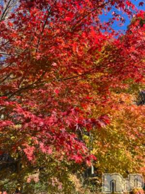 諏訪デリヘル Three＆Men’s Spa(スリー＆メンズスパ) なごみツー(25)の11月8日写メブログ「カリ、、！」